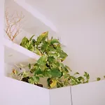 Interno Otto Con Bellissima Terrazza E Gazebo 公寓