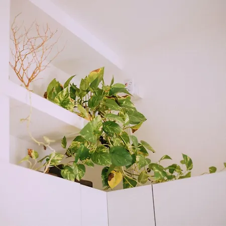 Interno Otto Con Bellissima Terrazza E Gazebo Apartment